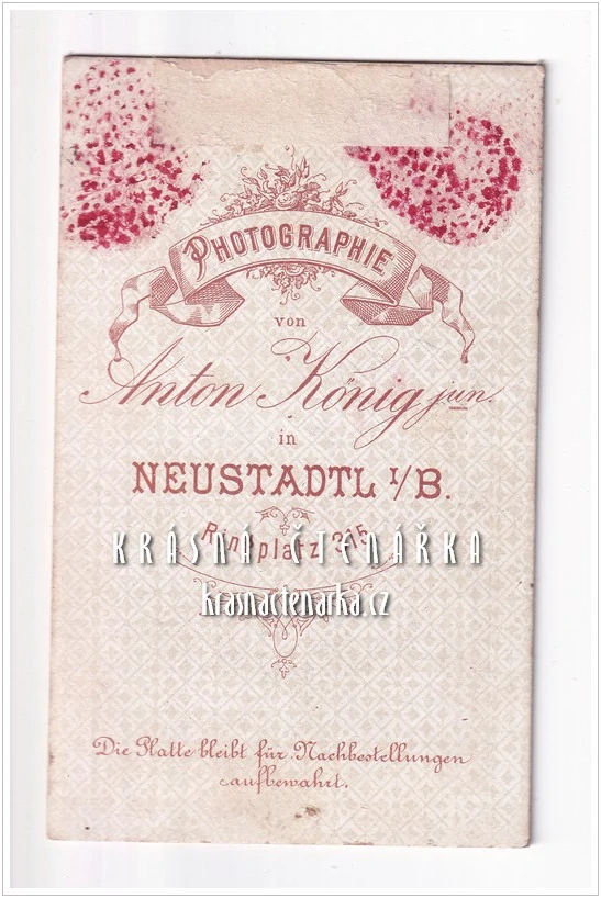 Fotografická vizitka: DÁMA (Atelier Anton König, Neustadtl i. B.)