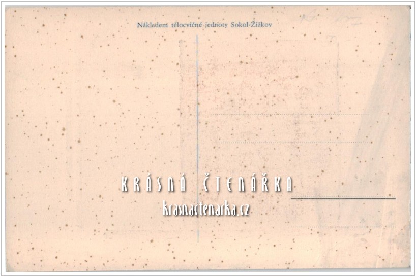 DOROST SOKOLA ŽIŽKOV, Vlajka zhotovená v desátém roce trvání Republiky československé