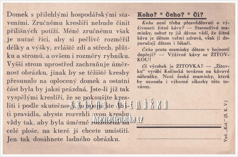 KOLÍNSKÁ CIKORKA: ŽITOVKA