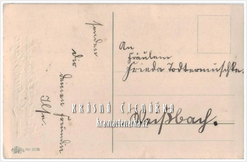 BLAHOPŘÁNÍ s karafiáty