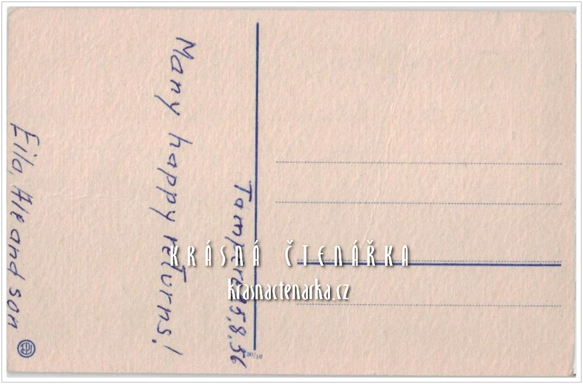 BLAHOPŘÁNÍ s karafiáty