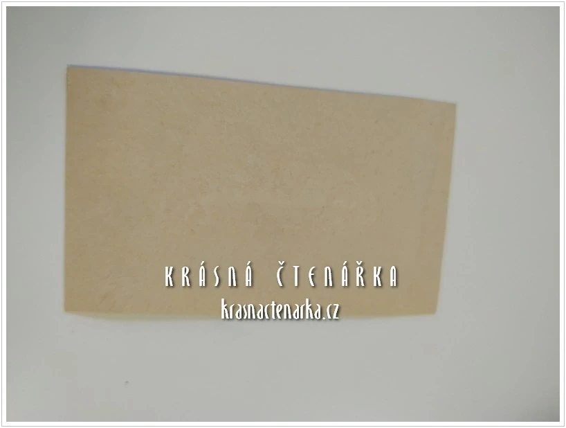 Fotografická vizitka: DÁMA (Atelier Ferd. Stracke, Liberec)