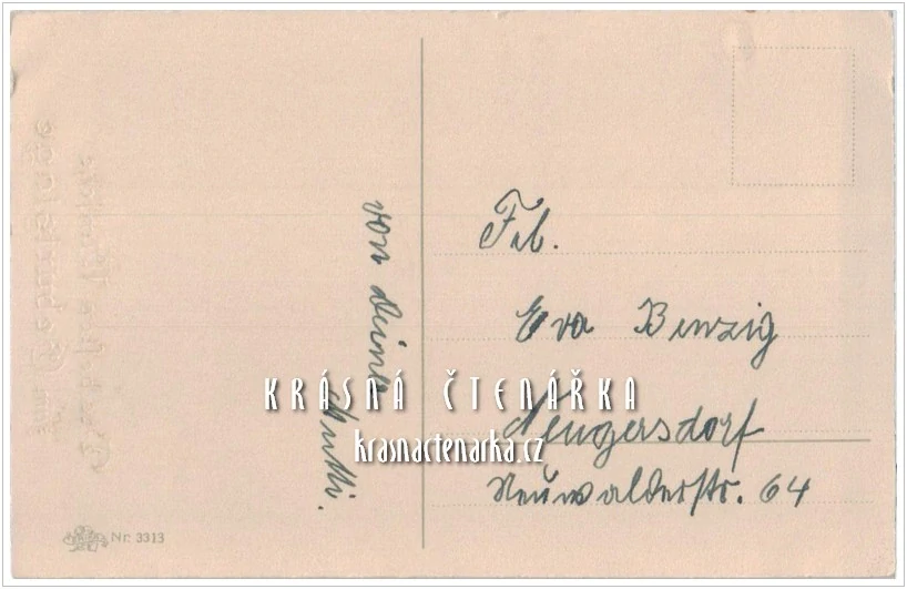 DÍVENKA s kočárkem