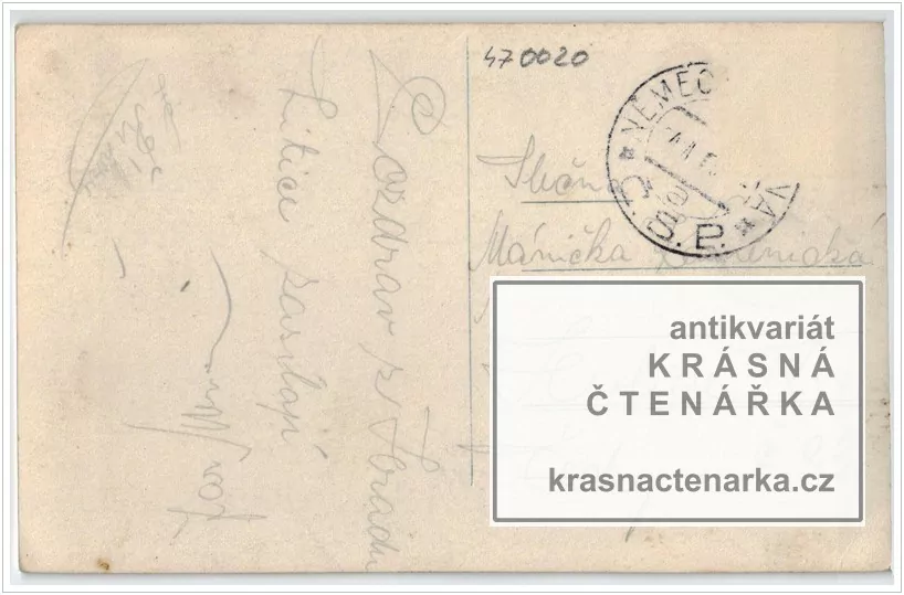 Hrad LITICE NAD ORLICÍ, Brána