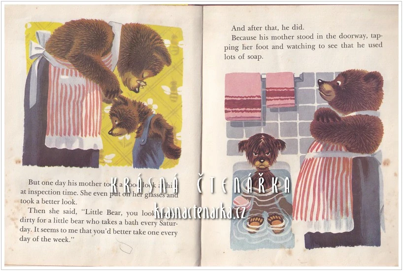 THE BROWN BEAR BOOK (Jackson Kathryn, il. Johnston Scott)