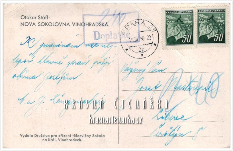 PRAHA, Nová sokolovna vinohradská (il. Otakar Štáfl)