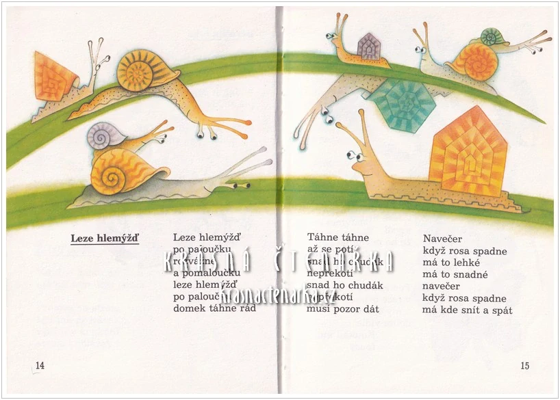 KOLIK VÁŽÍ MOTÝL