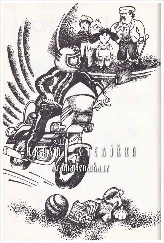 NA VYSTRKOVĚ (Schmidtová Annie M. G., il. Lysková Jolanta)