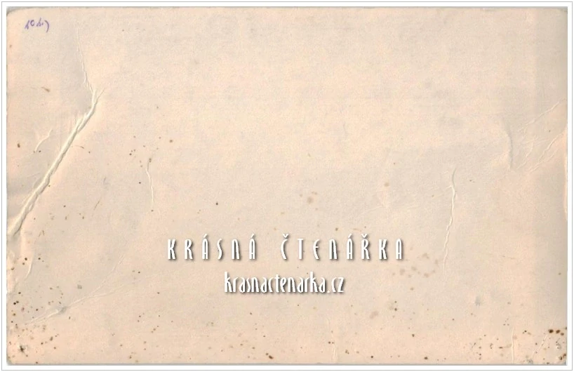 JABLONNÉ V PODJEŠTĚDÍ, Zámek Nový Falkenburk