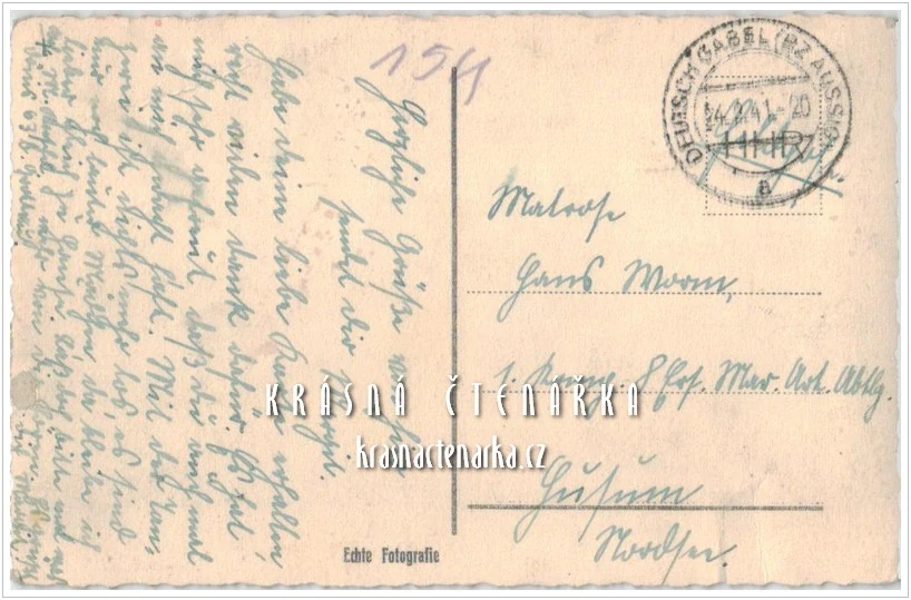 JABLONNÉ V PODJEŠTĚDÍ