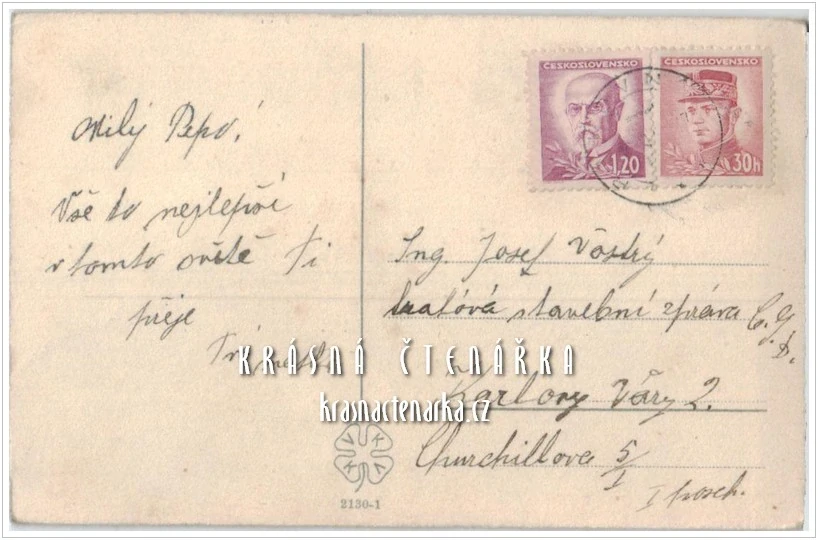 CHLAPEC s vozíkem a psíkem