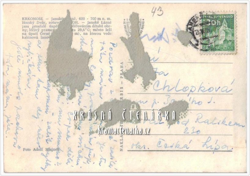 JANSKÉ LÁZNĚ, Hotel/penzion Horský Dvůr