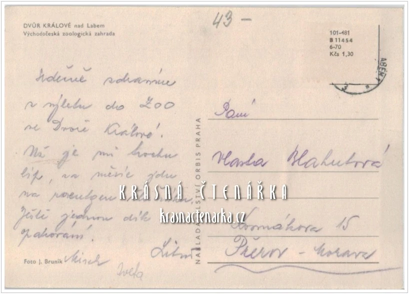 DVŮR KRÁLOVÉ NAD LABEM, Zoologická zahrada