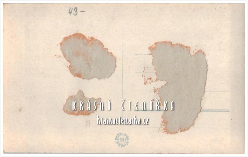 KRKONOŠE - Hora SNĚŽKA