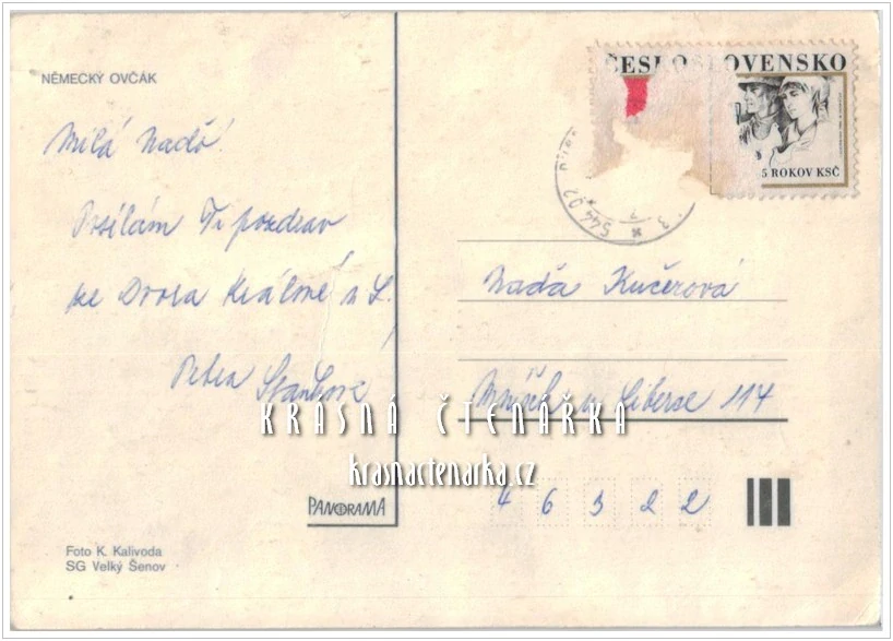 Pes NĚMECKÝ OVČÁK