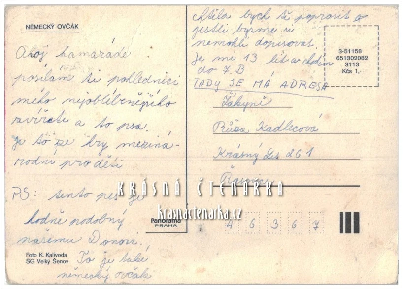 Pes NĚMECKÝ OVČÁK