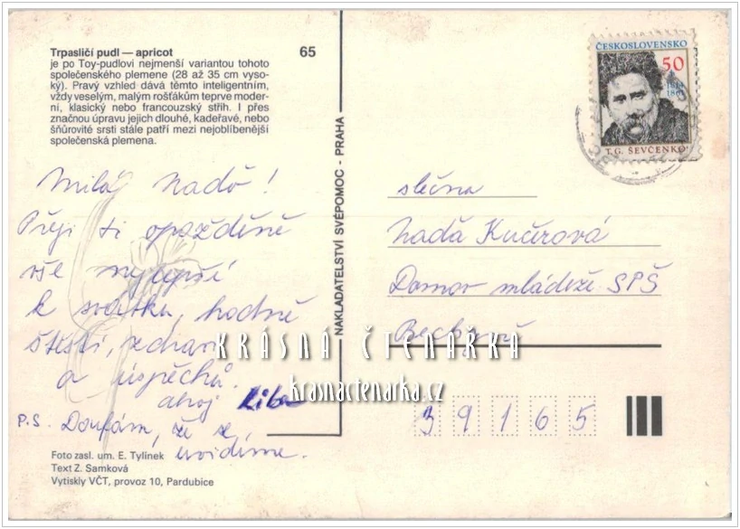 Pes TRPASLIČÍ PUDL