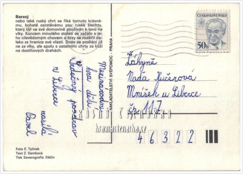 Pes BARZOJ, Ruský chrt