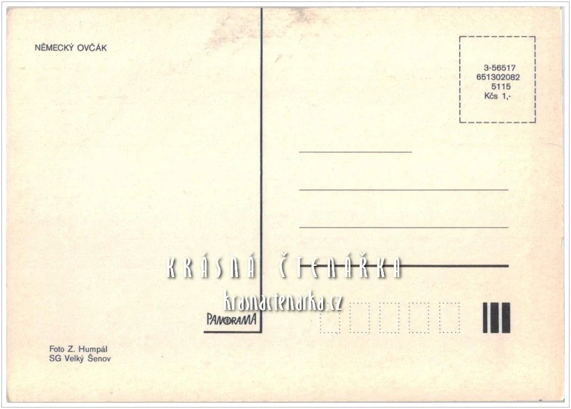 Pes NĚMECKÝ OVČÁK