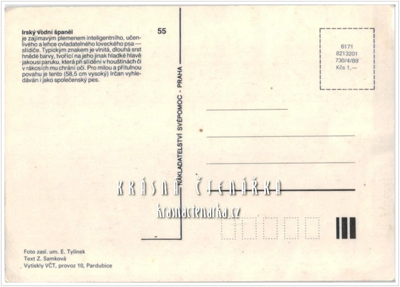 Pes IRSKÝ VODNÍ ŠPANĚL