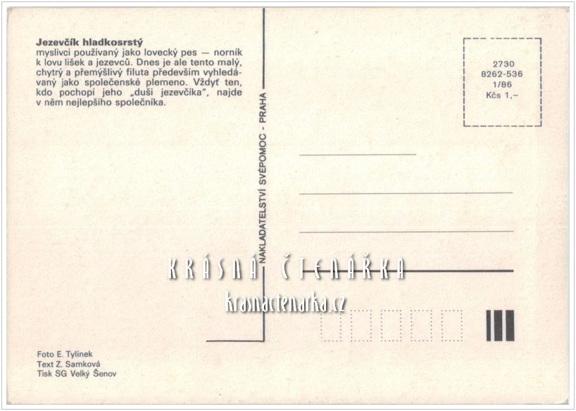 Pes JEZEVČÍK HLADKOSRSTÝ