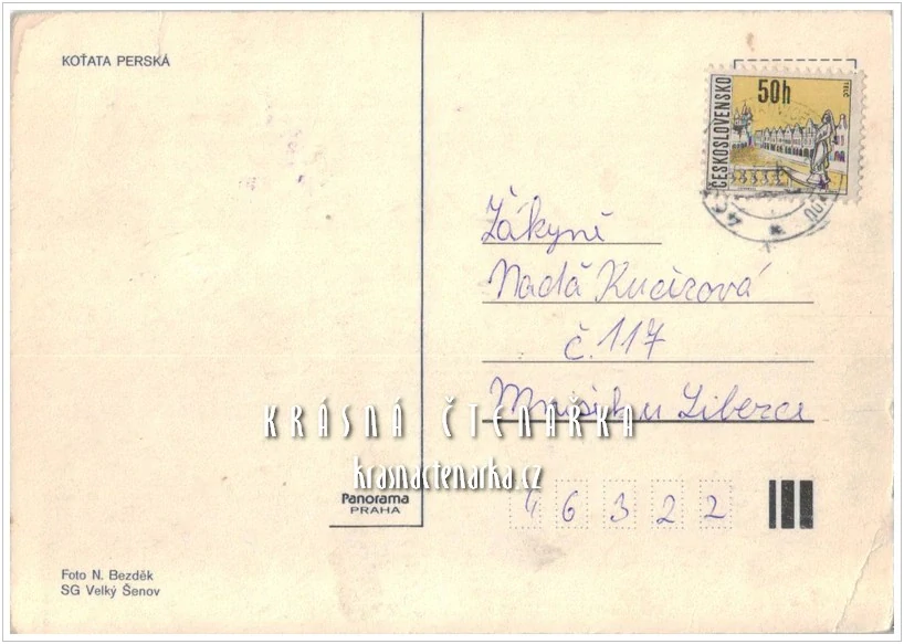 Kočka KOŤATA PERSKÁ