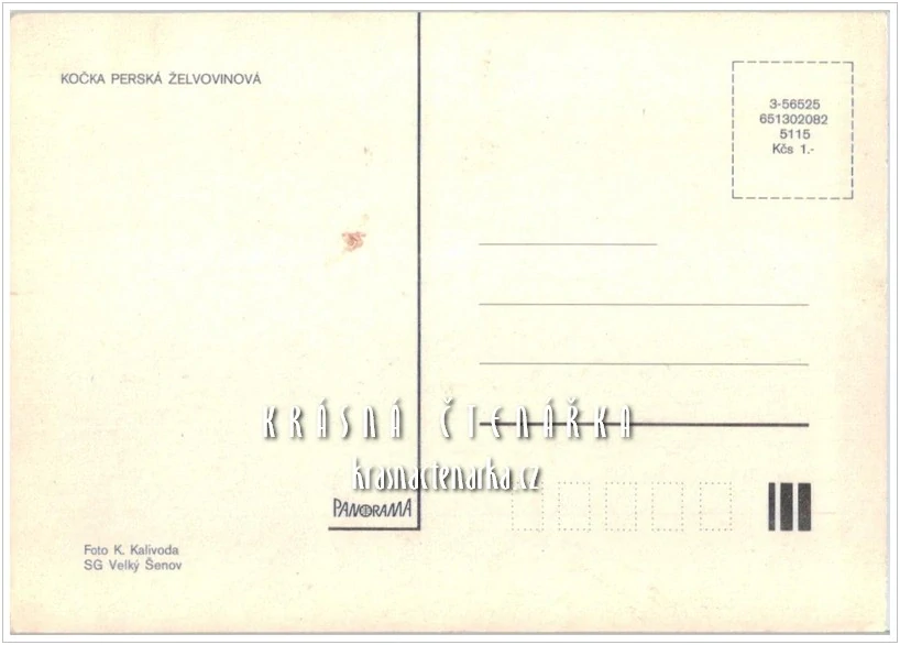 Kočka PERSKÁ ŽELVOVINOVÁ