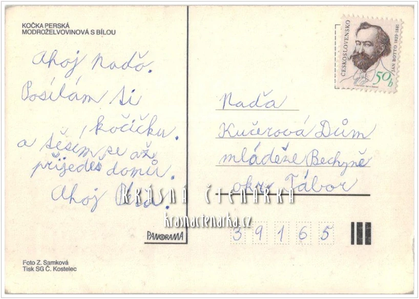 Kočka PERSKÁ ŽELVOVINOVÁ