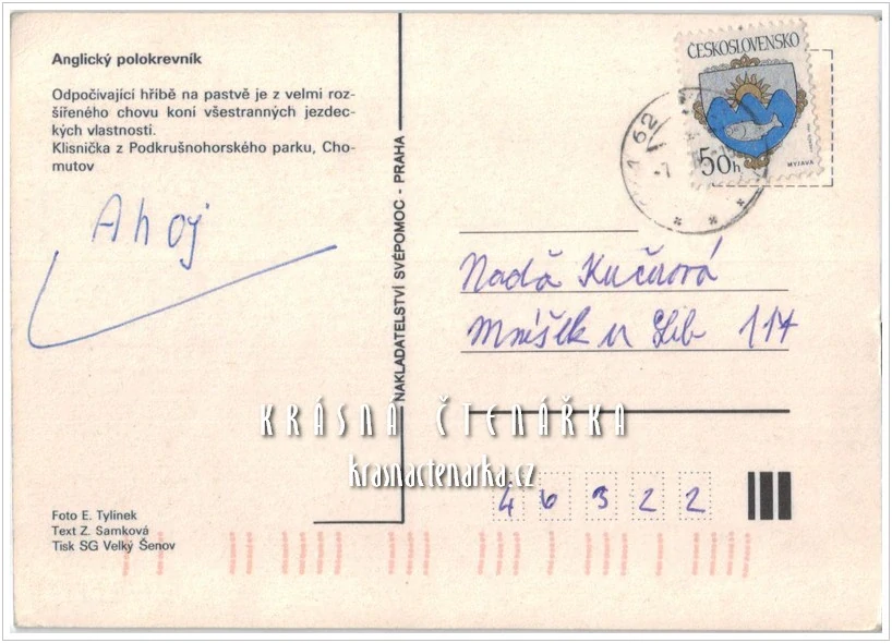 Kůň ANGLICKÝ POLOKREVNÍK