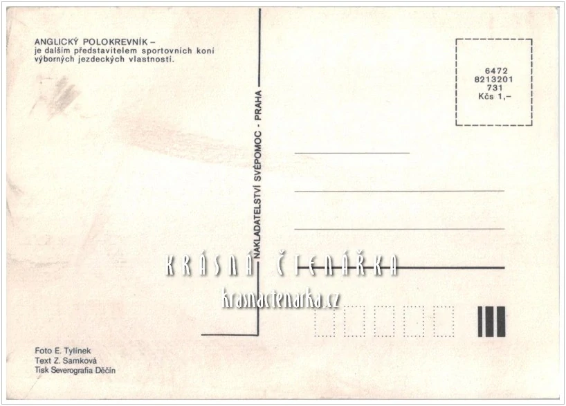 Kůň ANGLICKÝ POLOKREVNÍK