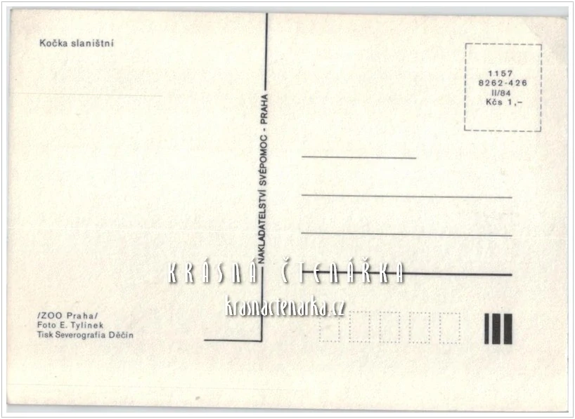 KOČKA SLANIŠTNÍ, ZOO Praha