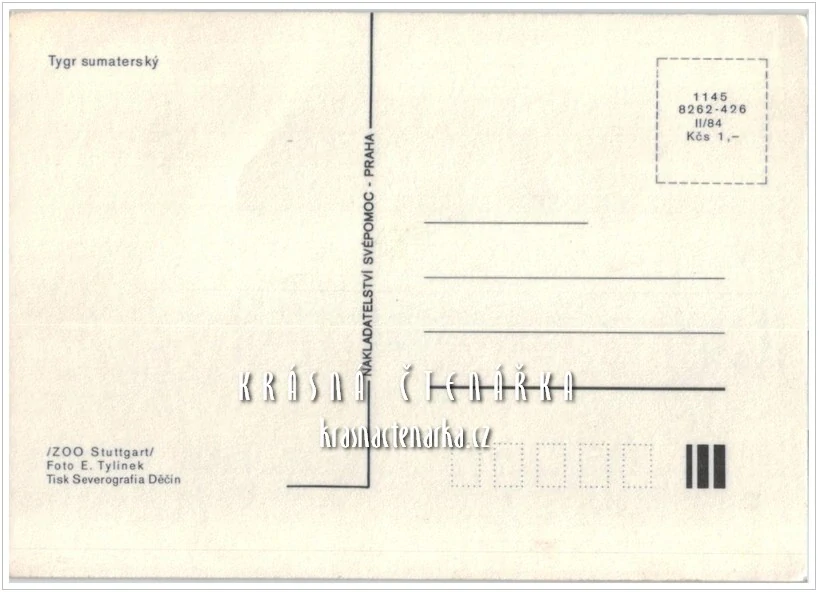 TYGR SUMATERSKÝ, ZOO Stuttgart