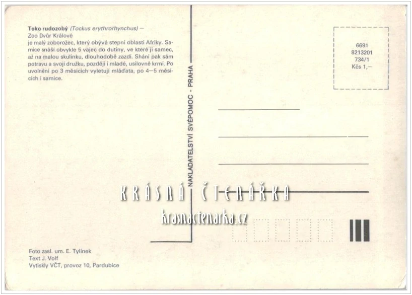 TOKO RUDOZOBÝ, ZOO Dvůr Králové