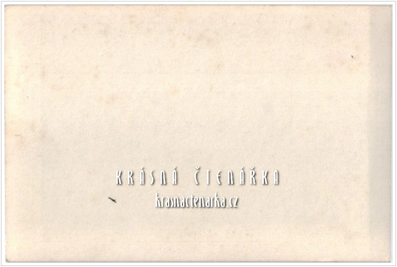 ZEBRY v zoologické zahradě