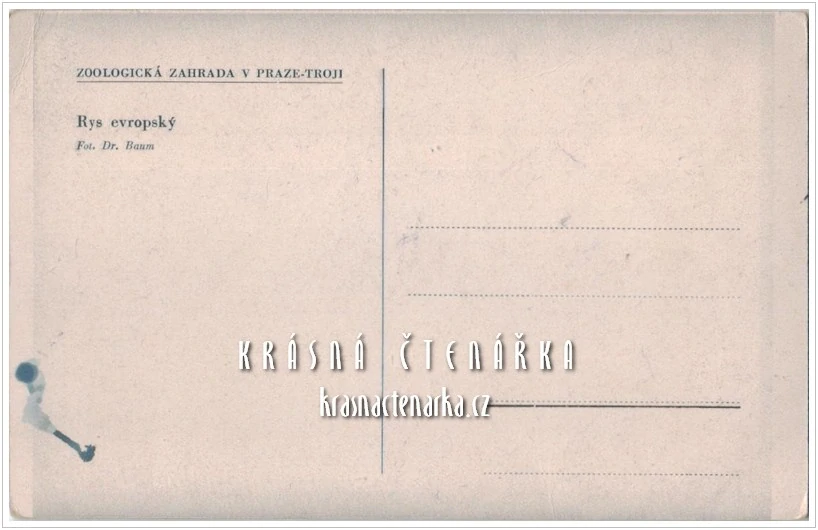 RYS EVROPSKÝ, Zoologická zahrada Praha