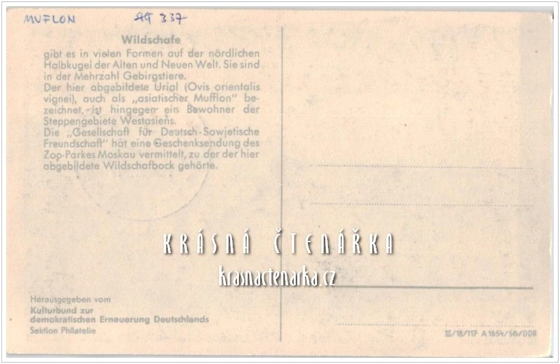 DIVOKÁ KOZA, Poštovní známka Tierpark Berlin