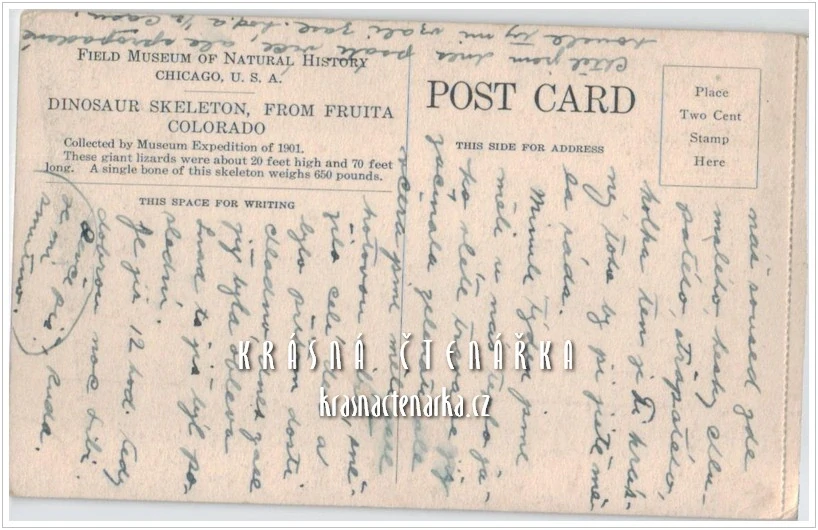 KOSTRA DINOSAURA, Field Museum Chicago