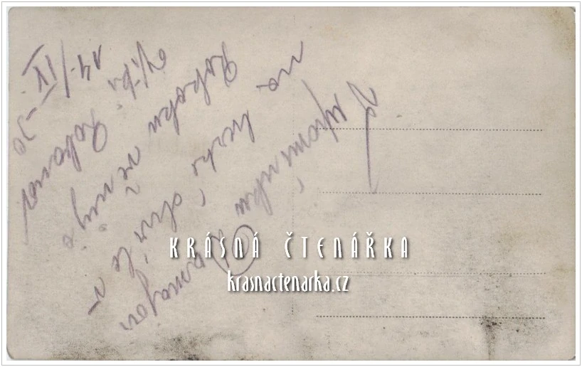 Umělec VIKI ROBONOV