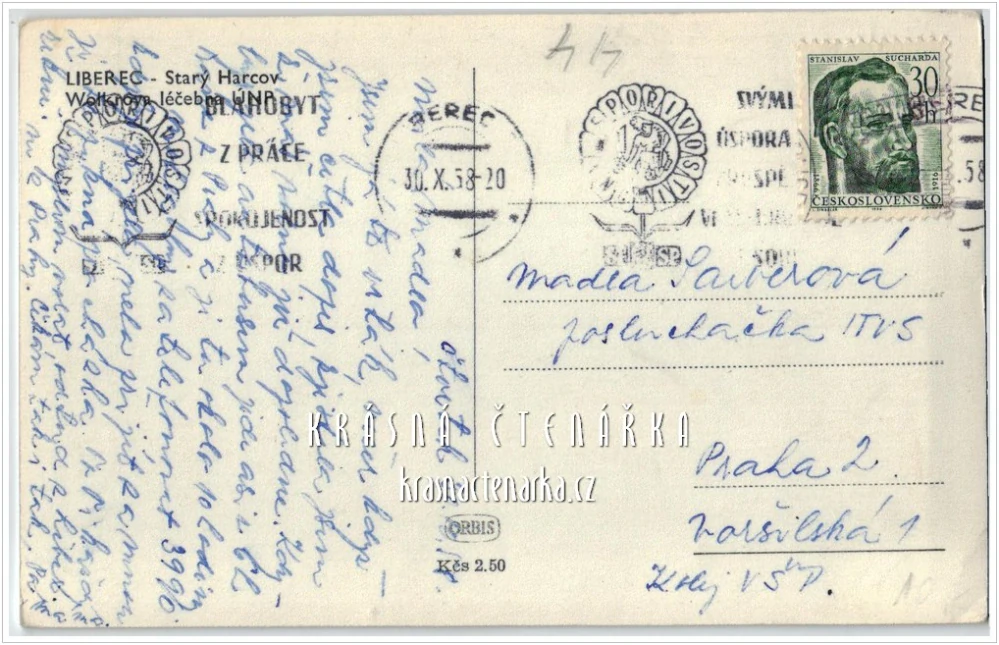 LIBEREC, Vila Heinricha Liebiega / Plicní sanatorium Jiřího Wolkera