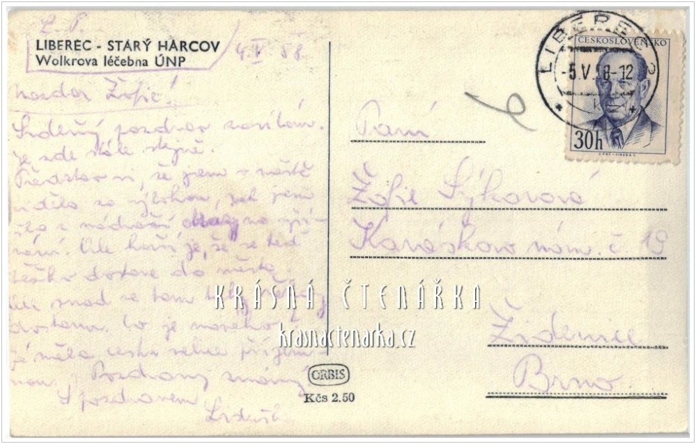 LIBEREC, Vila Heinricha Liebiega / Plicní sanatorium Jiřího Wolkera