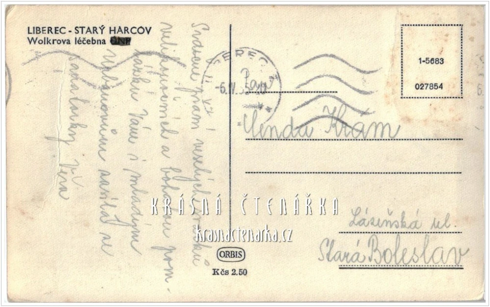 LIBEREC, Vila Heinricha Liebiega / Plicní sanatorium Jiřího Wolkera