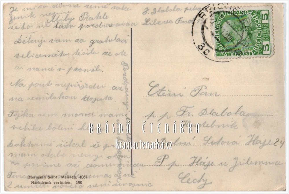 LIBEREC, Celkový pohled