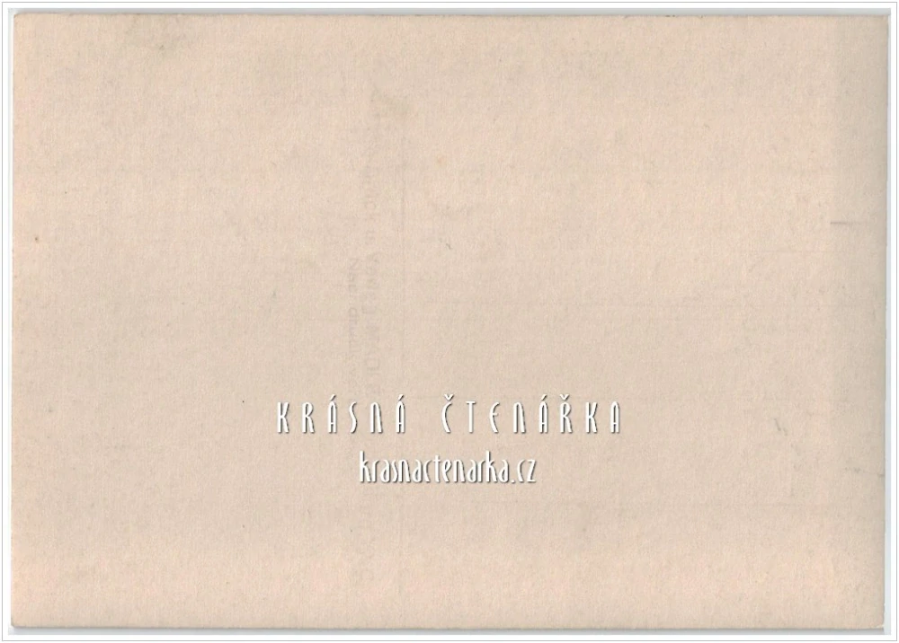 LIBEREC, Radnice a náměstí a Metznerova kašna