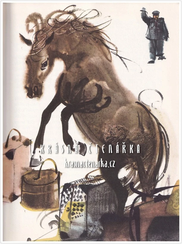 DIVOKÝ KONÍK RYN (Říha Bohumil, il. Hanák Mirko)