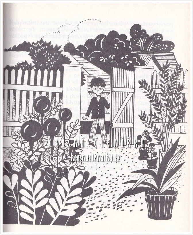 ŠŤASTNÝ FERDA (Nohejl Bohumil, il. Rokytová Helena)