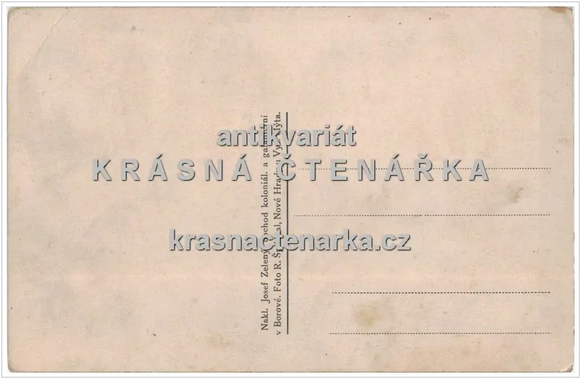 HAVLÍČKOVA BOROVÁ