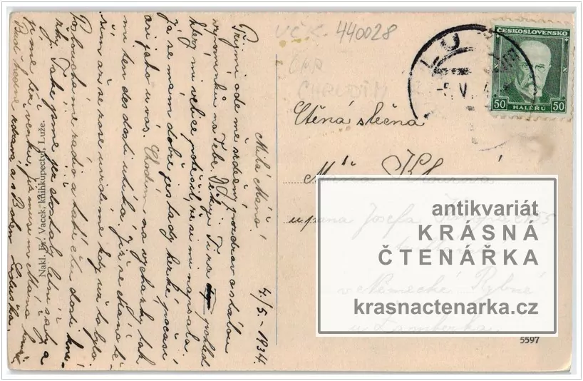 LUŽE - KOŠUMBERK, Pohled na Hamzovu léčebnu