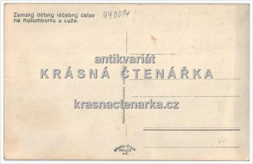 LUŽE - KOŠUMBERK, Hamzova léčebna