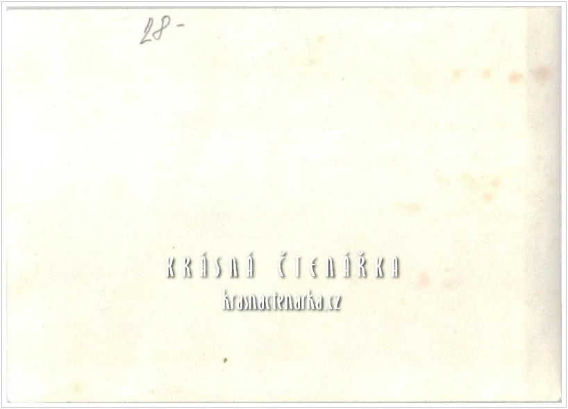 JETŘICHOVICE, Pionýrský tábor