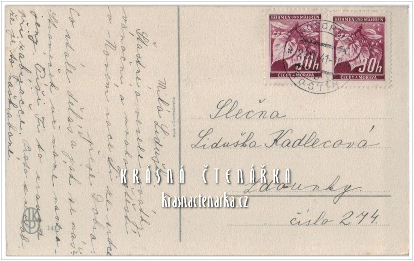 VÁNOČNÍ a NOVOROČNÍ pohlednice a muchomůrky